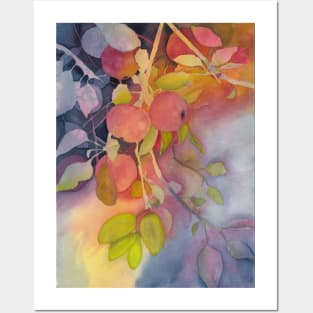 Autumn Apples Watercolor Painting Posters and Art